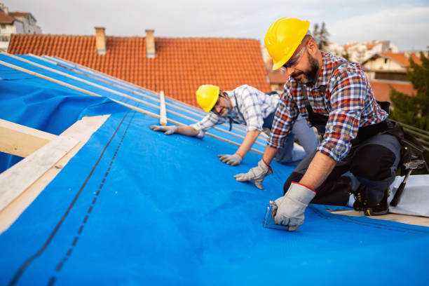 Best Commercial Roofing Services  in Elberta, AL
